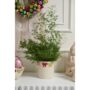 Ribbonelle Bow Pot – Multi – 5.5″